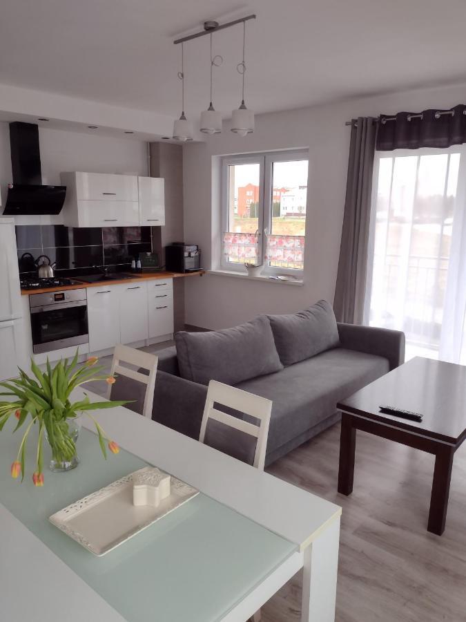Apartment Jagiellonski *